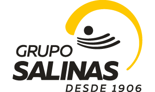 Grupo Salinas