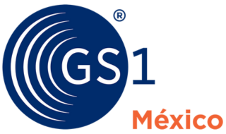 GSI Mexico