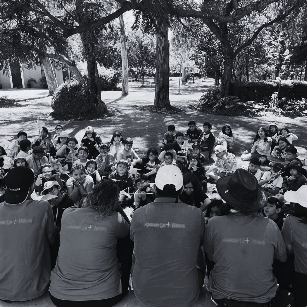 Curso de Verano, Curso de primavera, Experiencia significativa