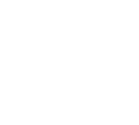 ¡Gracias!